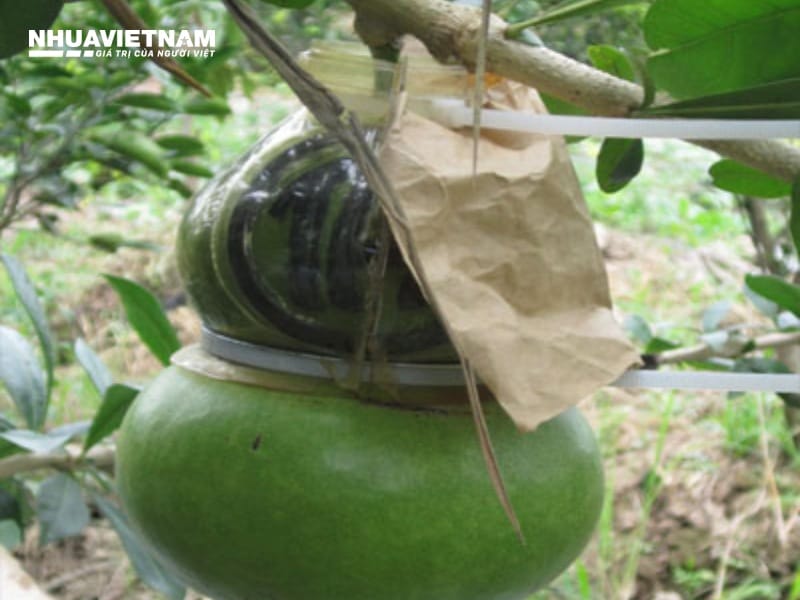 dây rút nhựa dùng để làm gì 5